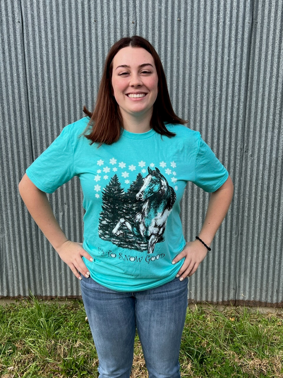 Holiday Horse Design T-Shirt