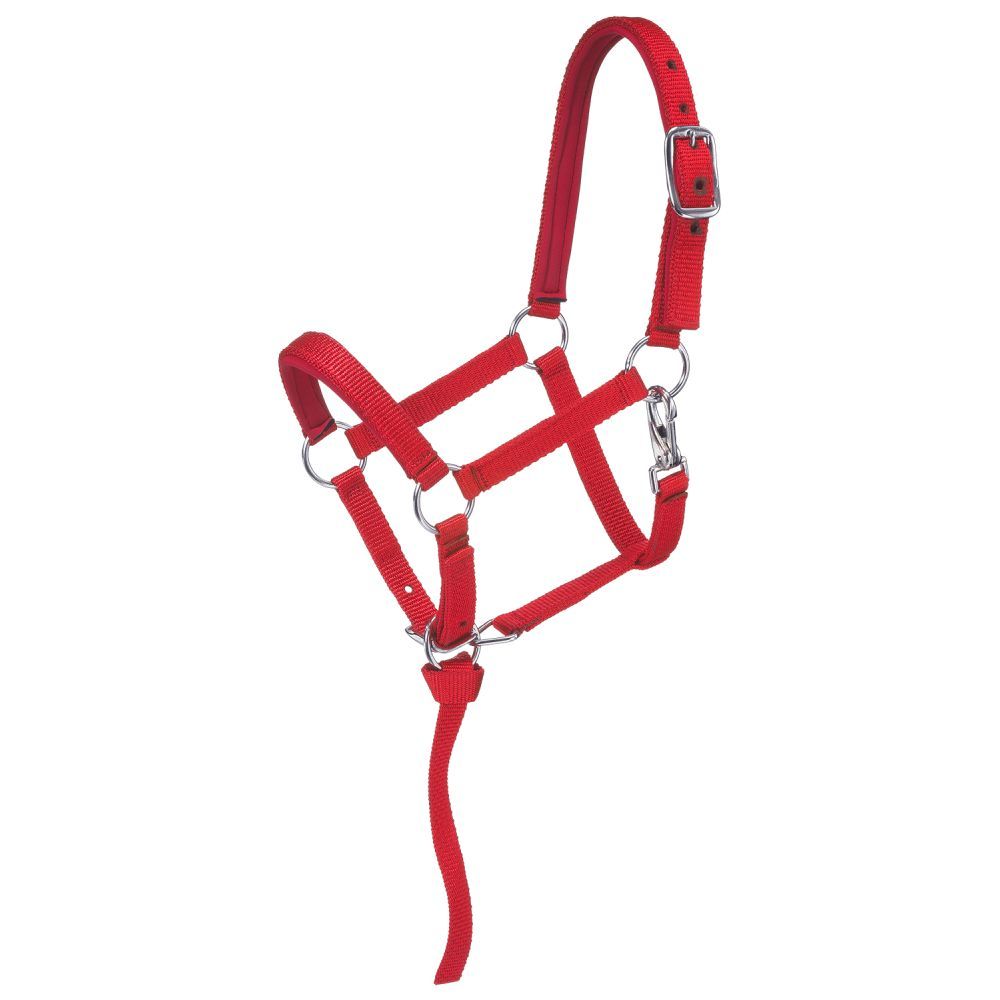 Mini Nylon Padded Halter by Tough1