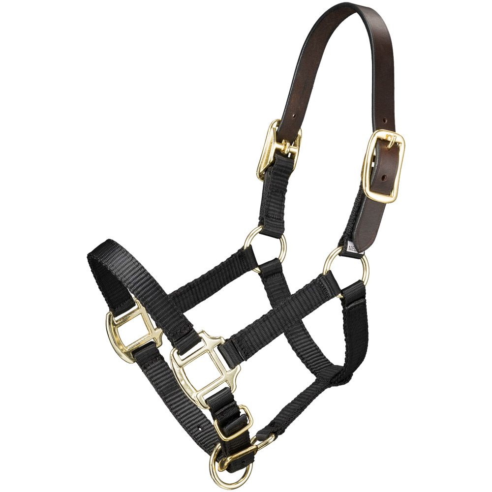 Premium Breakaway Miniature Horse Halter
