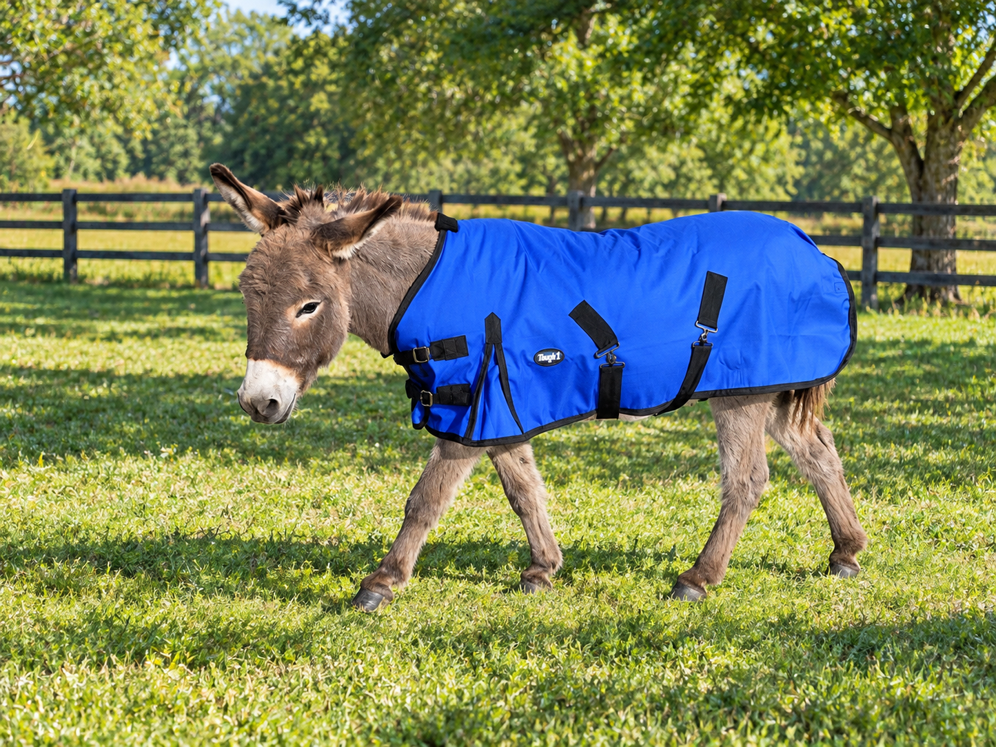 1200D Turnout Blanket 250g, Basics by Tough1