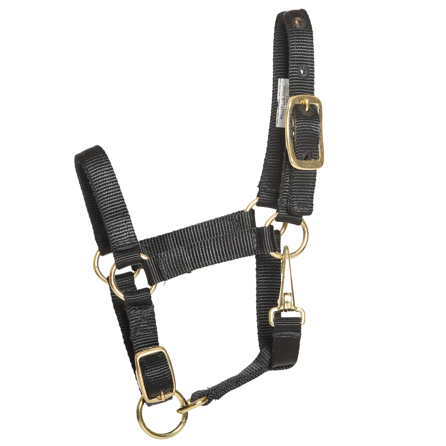 Stable Halter with Throatlatch Snap for Miniatures and Ponies