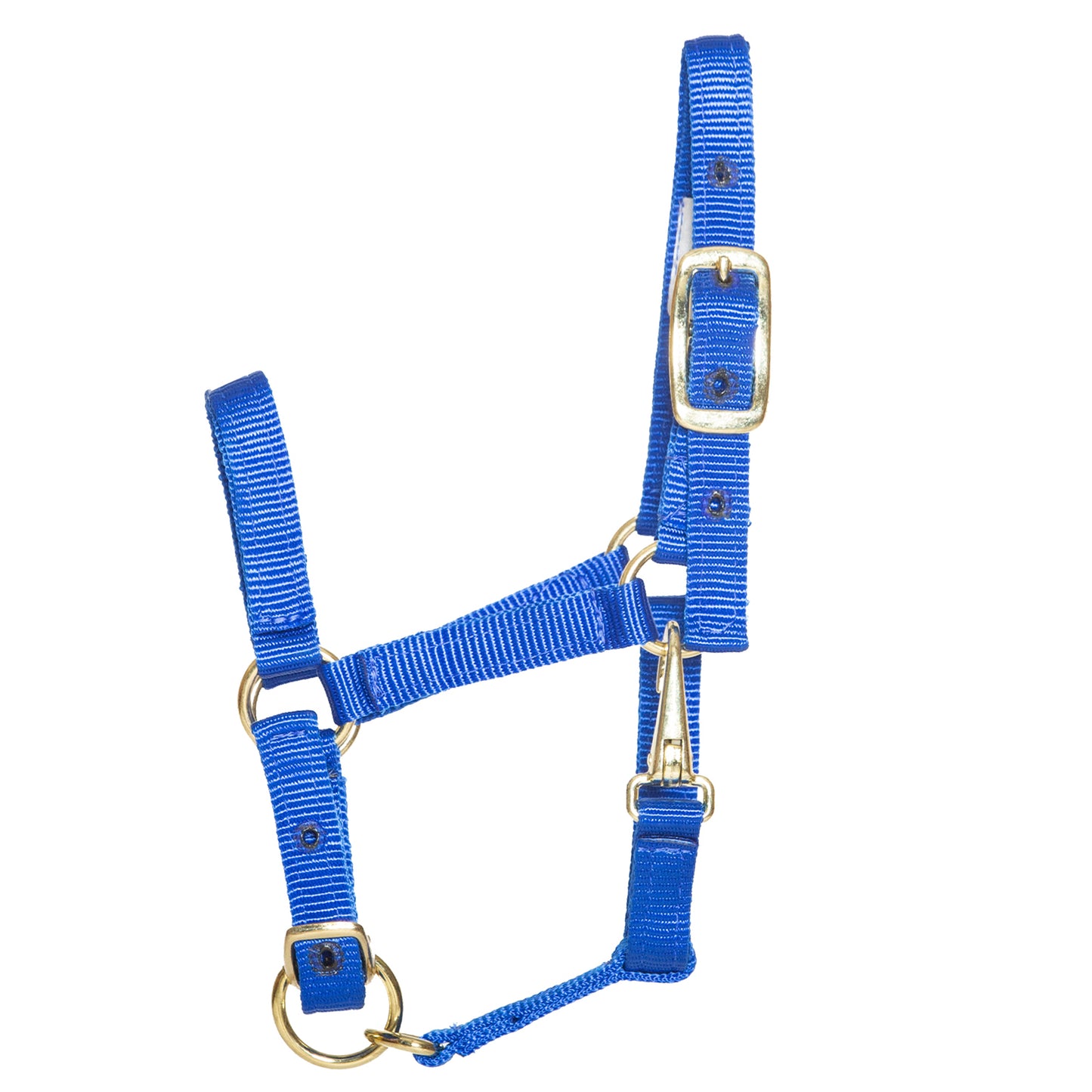 Stable Halter with Throatlatch Snap for Miniatures and Ponies
