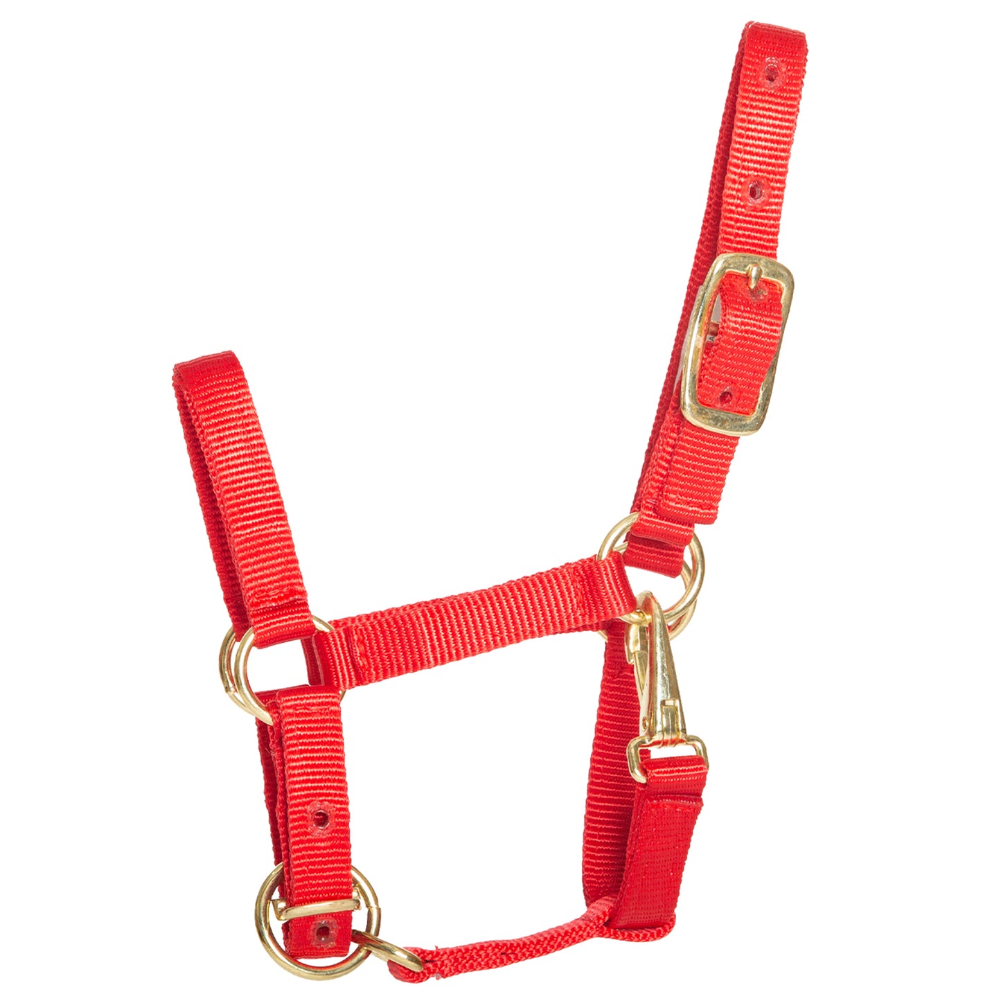 Stable Halter with Throatlatch Snap for Miniatures and Ponies