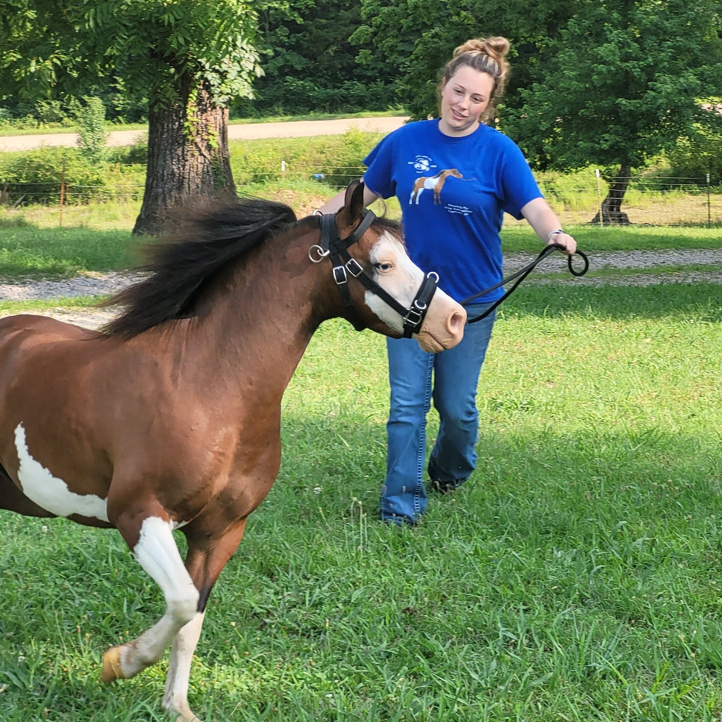 Nylon Training Caveson for Minis and Ponies