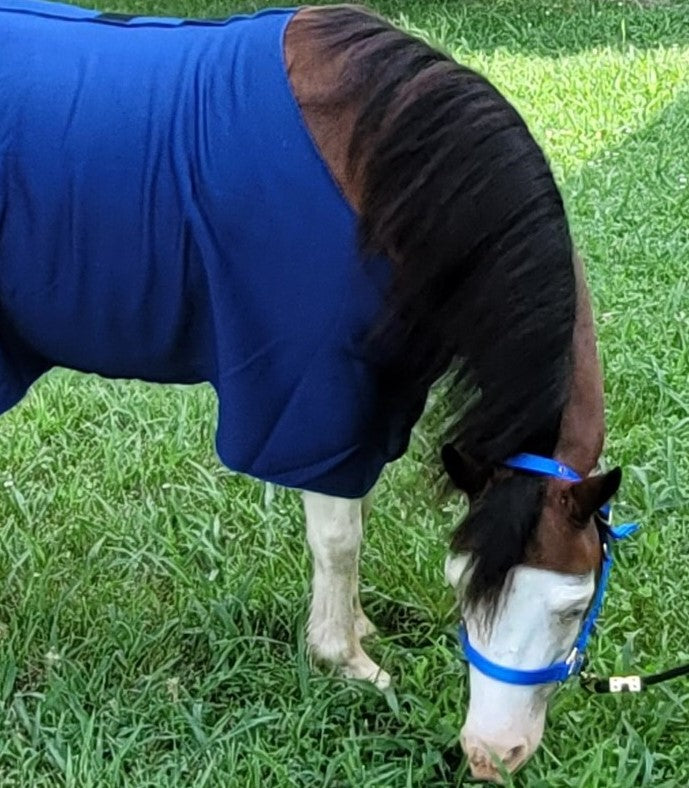 Premium 3/4" Mini Nylon Halter