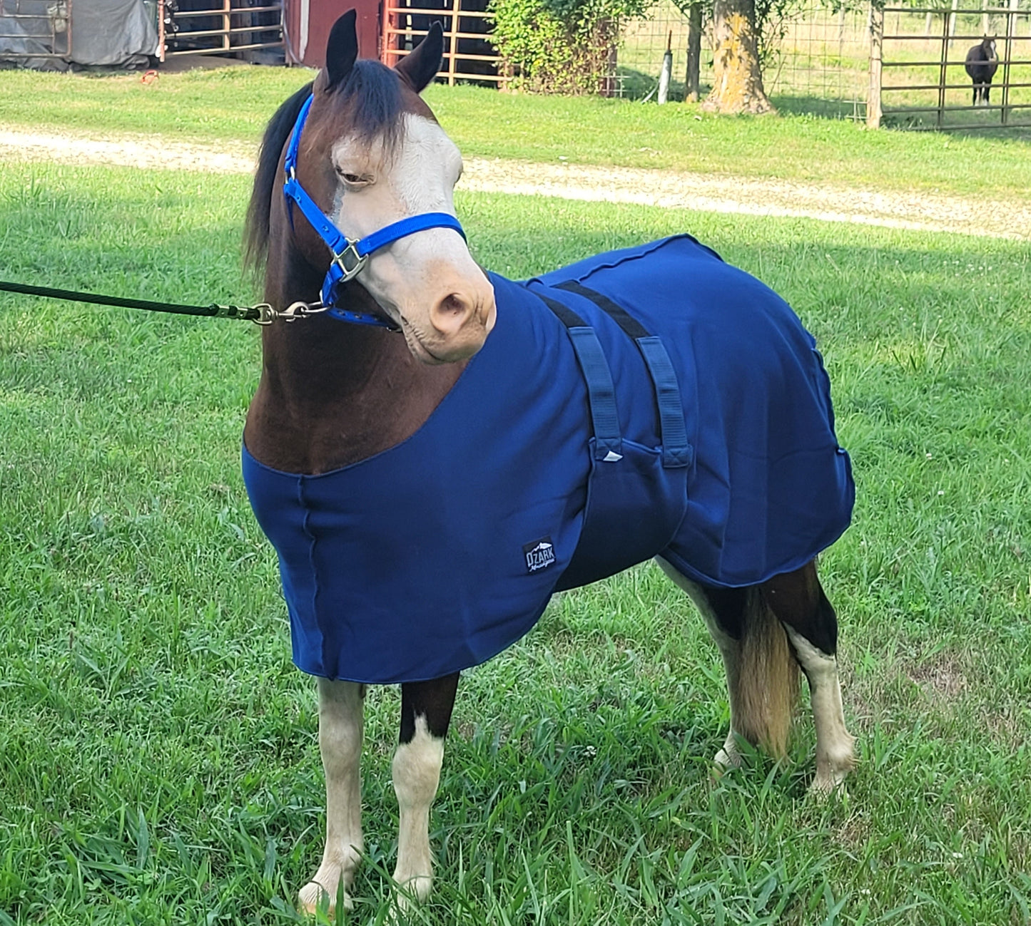Miniature Horse 8 ft Nylon Lead