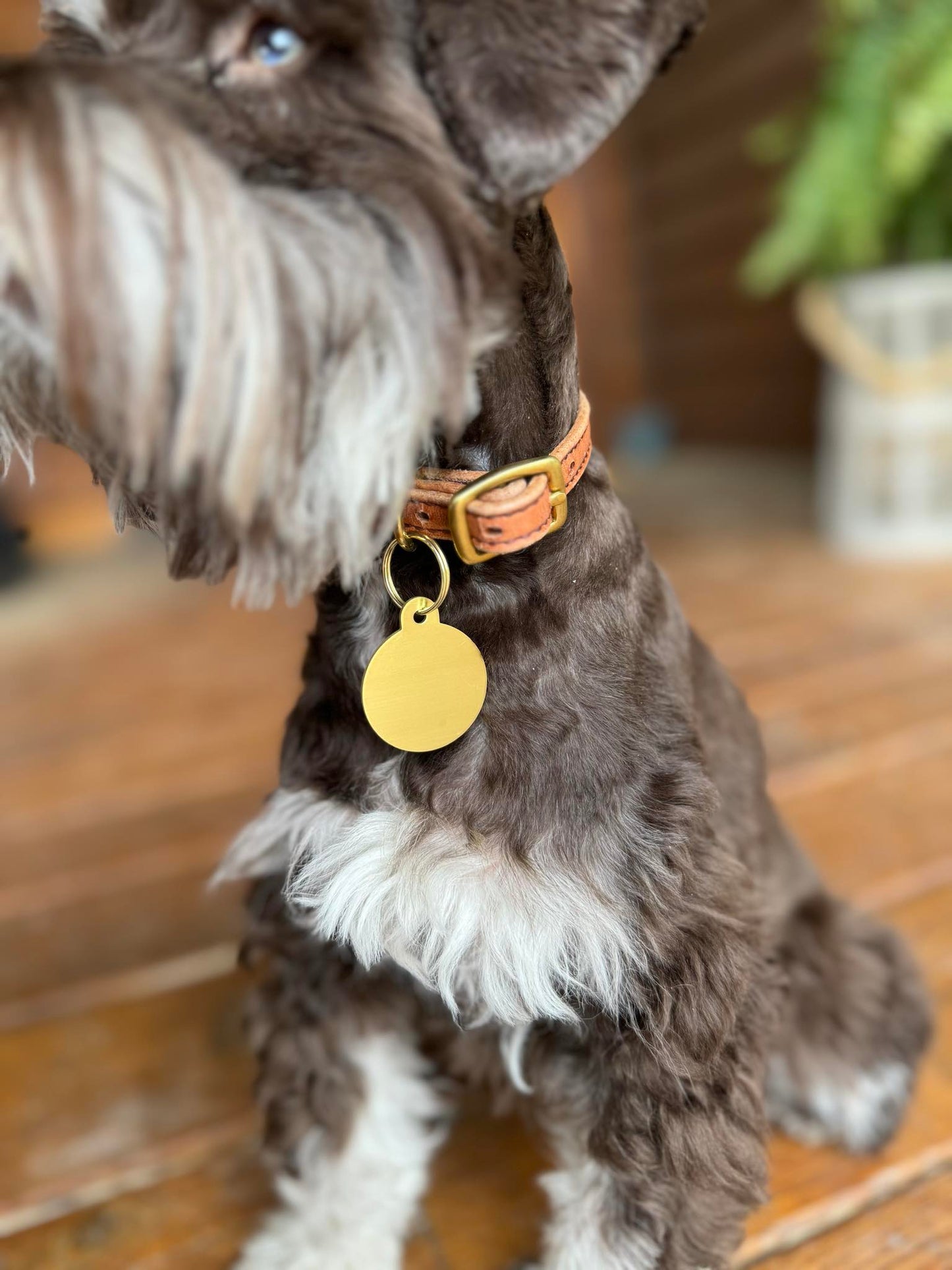 Flat 3/8" Leather Dog Collar