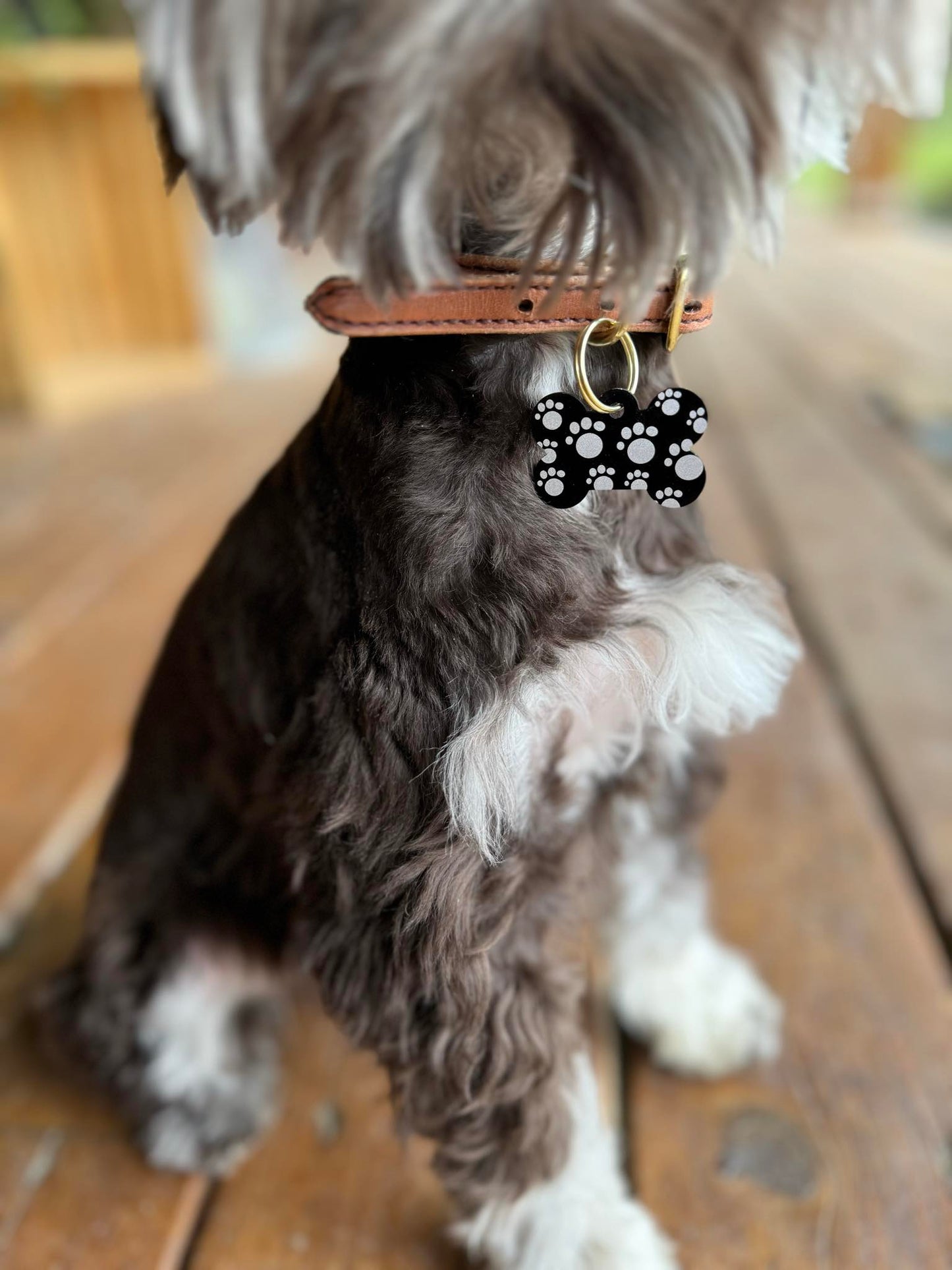 Flat 3/8" Leather Dog Collar