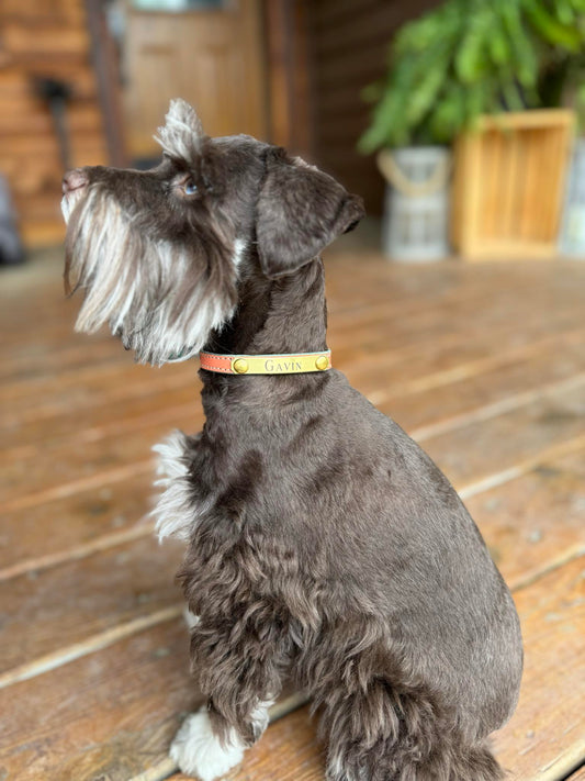 Personalized Amish Made 3/8" Flat Leather Dog Collar with Brass Tag