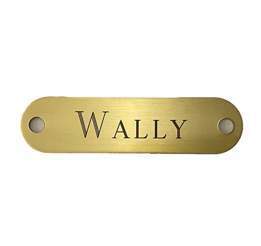 Personalized Brass Dog Collar or Mini/Pony Halter Tag