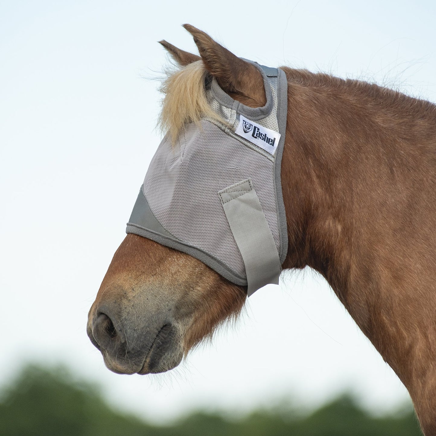 Cashel Fly Mask for Miniatures and Ponies