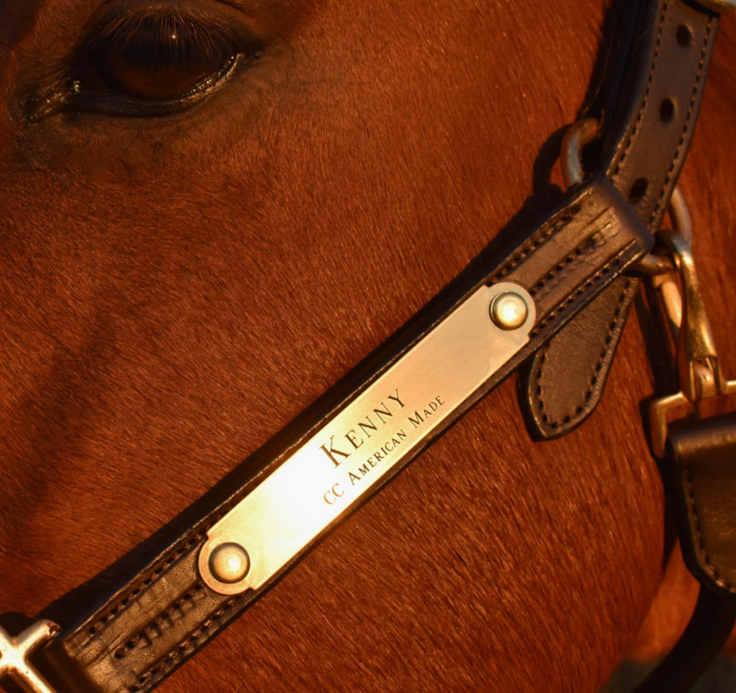 Personalized Triple Leather Horse Halter with One Brass Tag