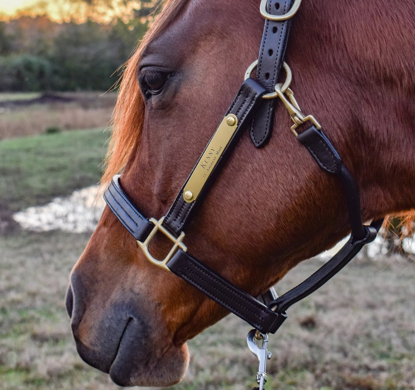 Personalized Triple Leather Horse Halter with One Brass Tag