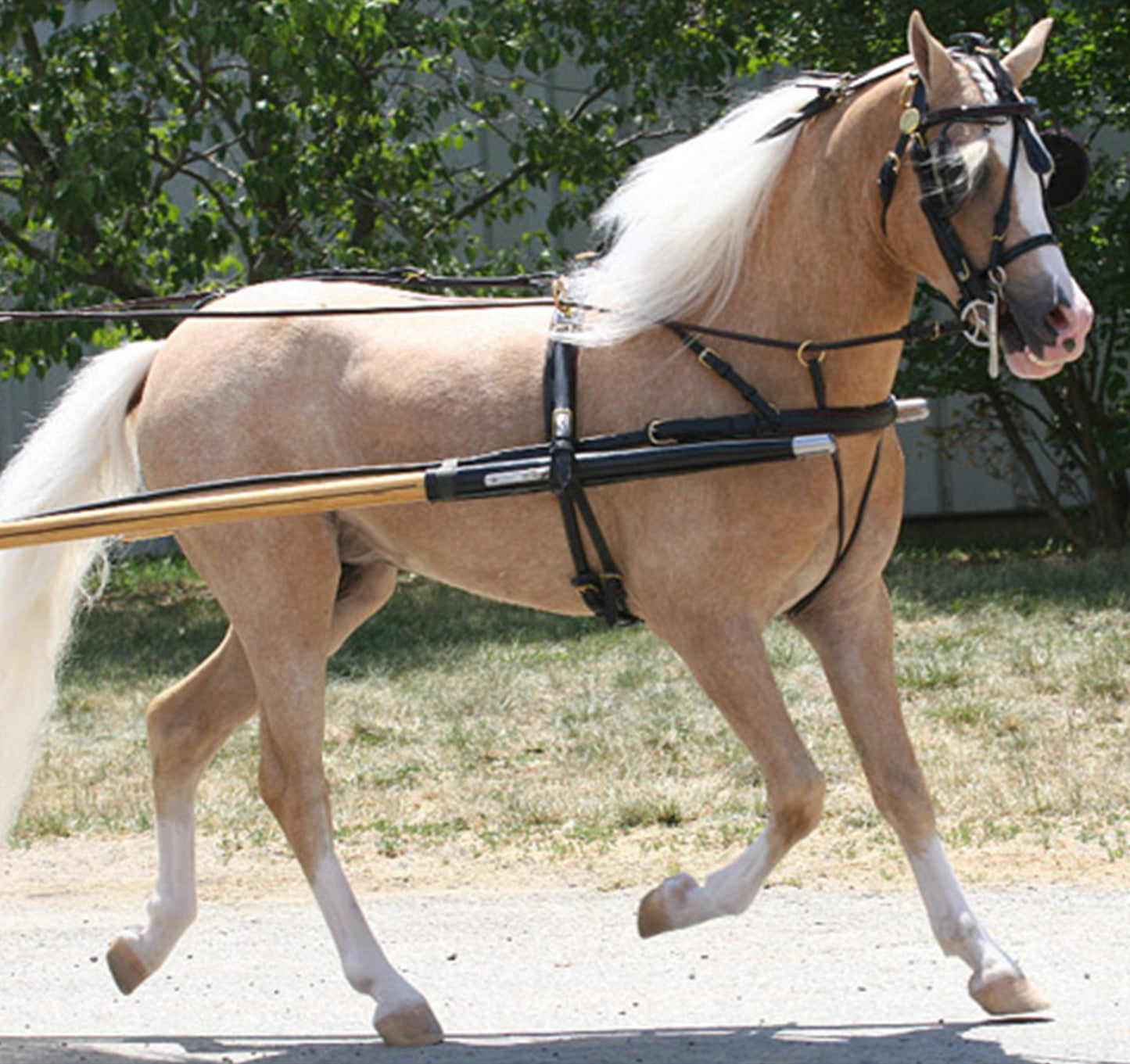 Rolled Leather Fancy Show Harness for Minis and Ponies by Mose Miller