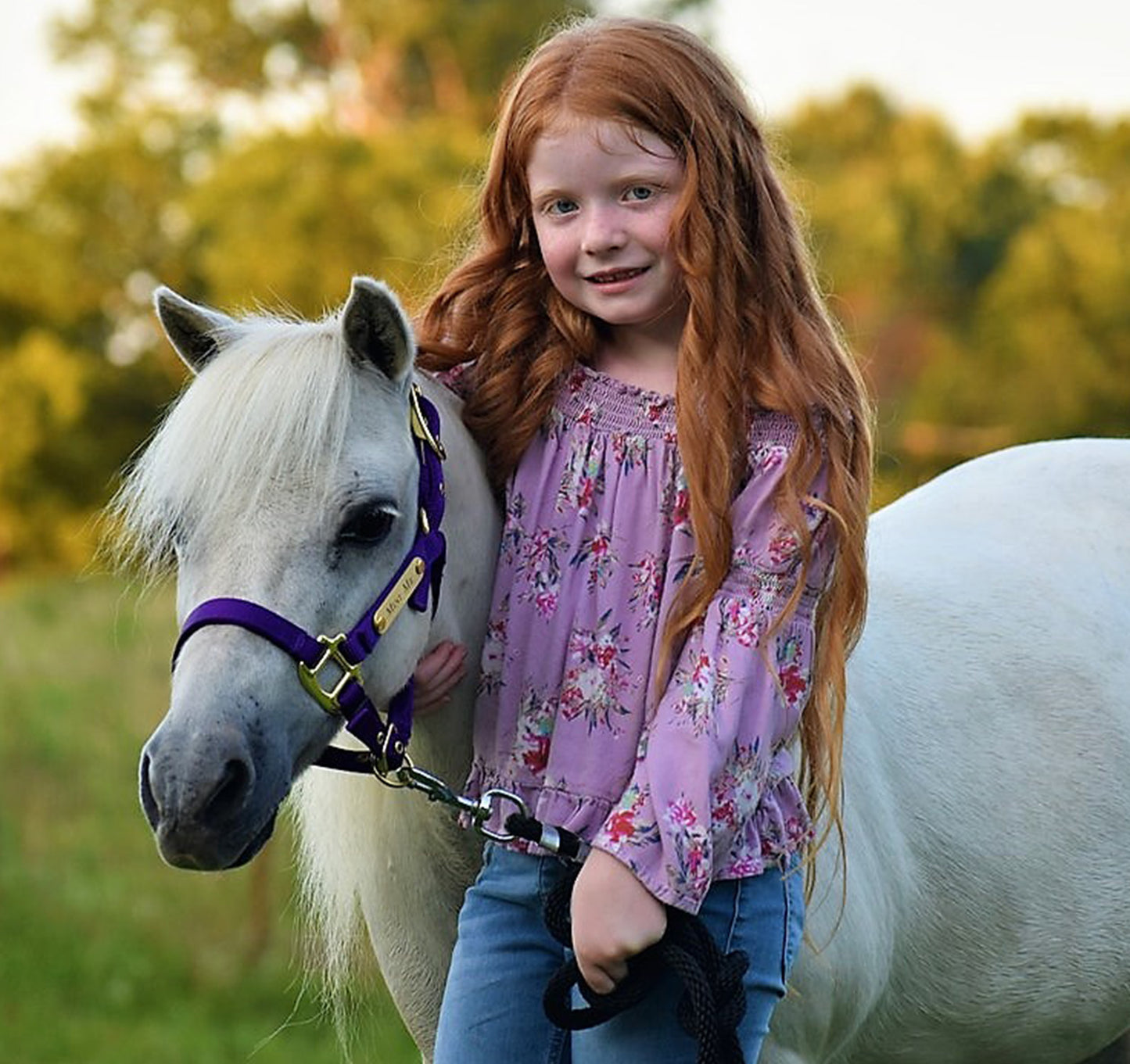 Premium Amish Made Nylon Miniature & Pony Halter with One Brass Tag