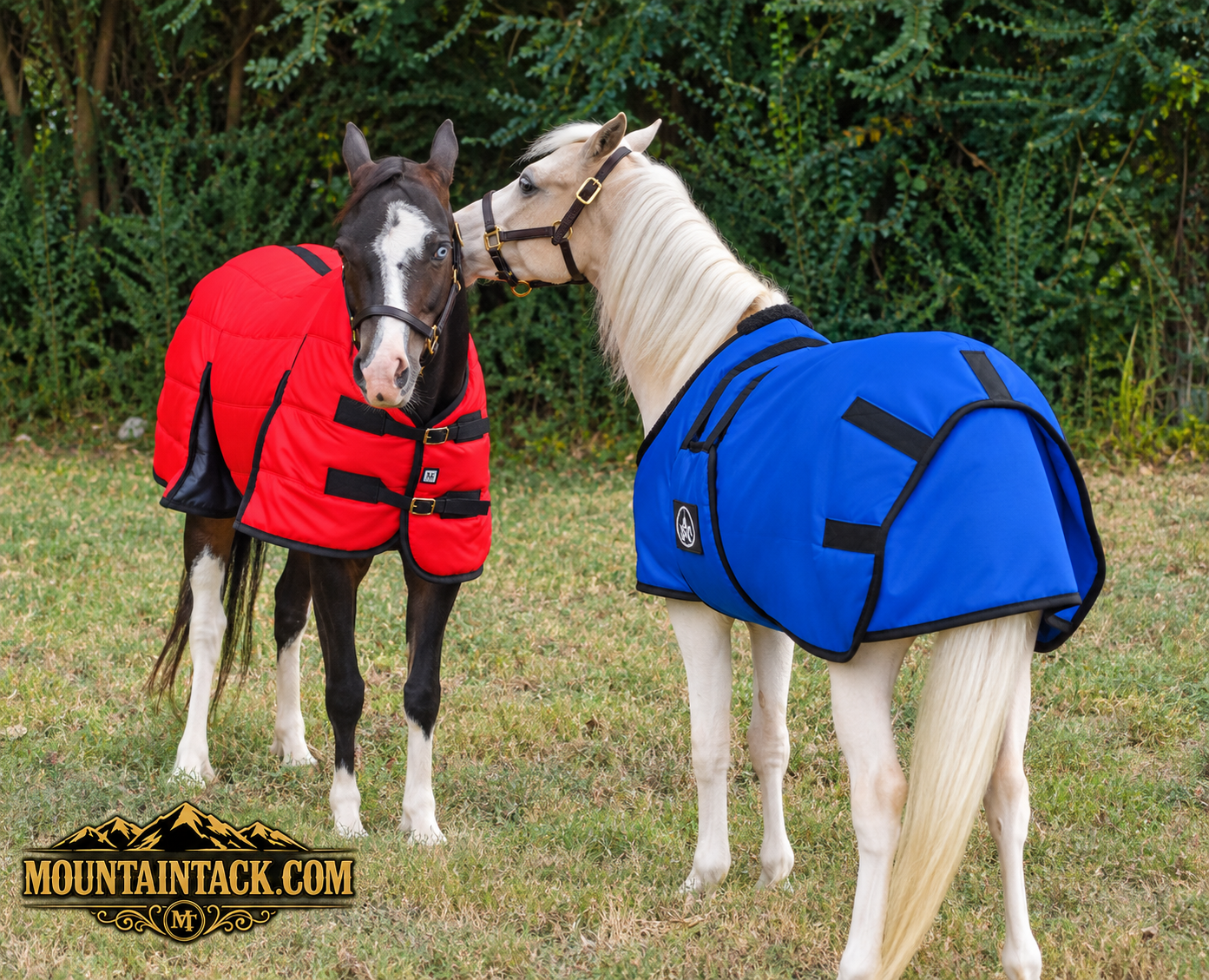 Miniature Horse 600D Stable Blanket with Belly Wrap – Durable & Warm, by Tough1
