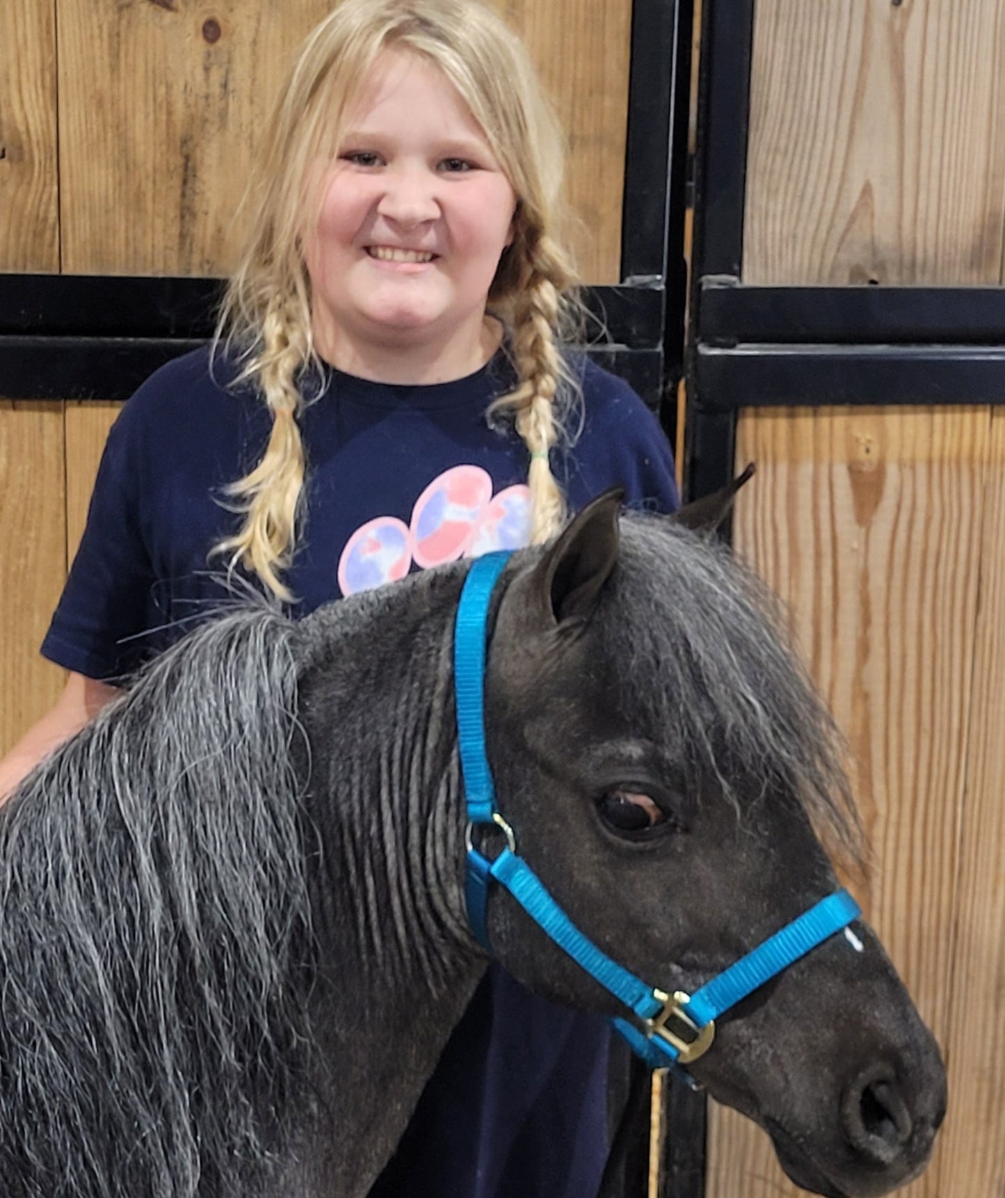 Premium Nylon Miniature & Pony Halter with One Brass Tag