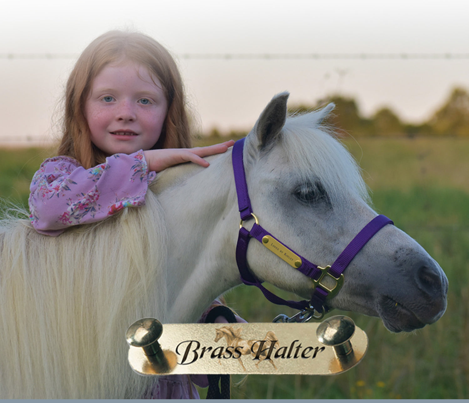 Personalized Horse Halters - Leather & Nylon