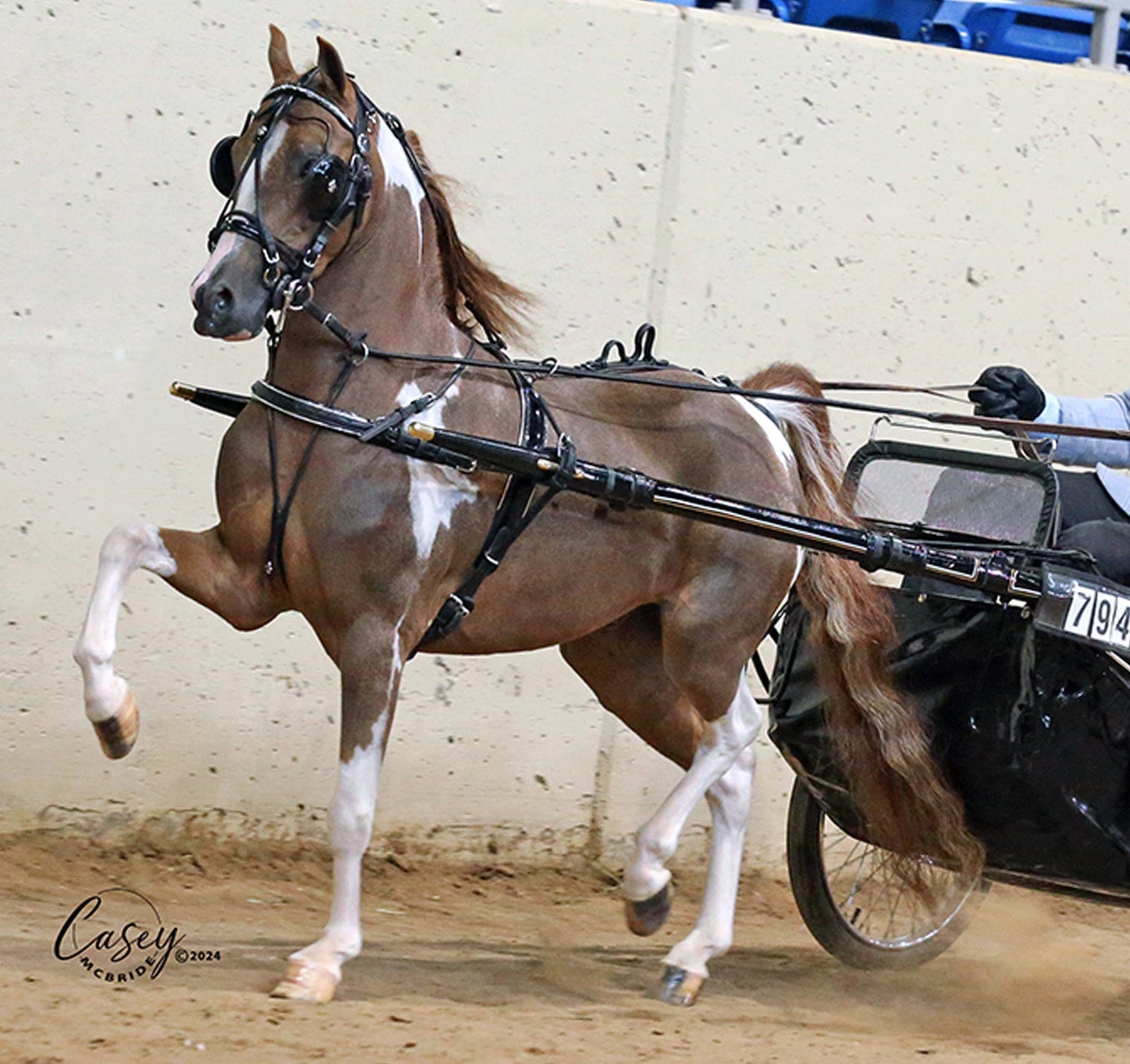Mose Miller Harness