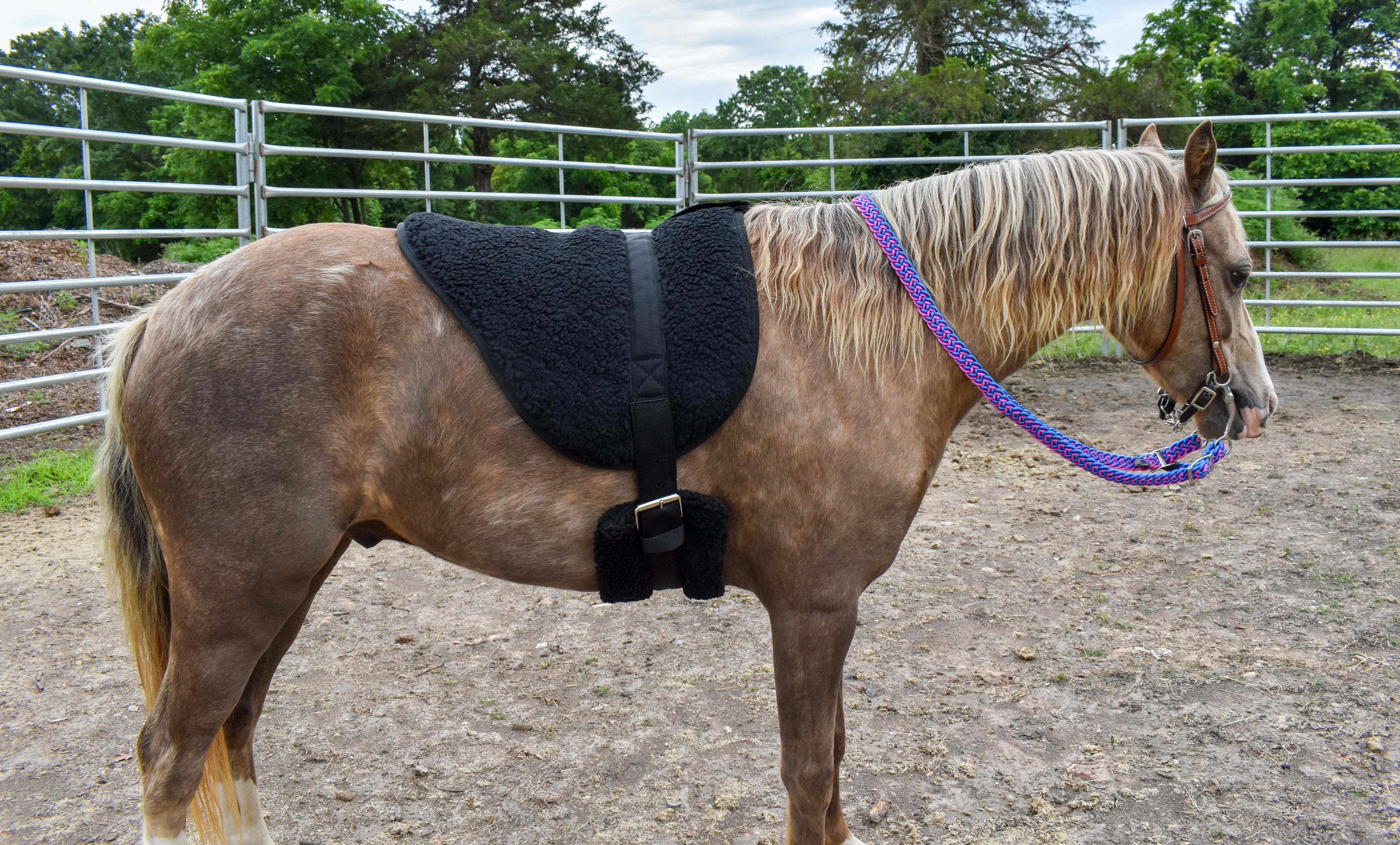 Miniature Bareback Pad Mountain Tack