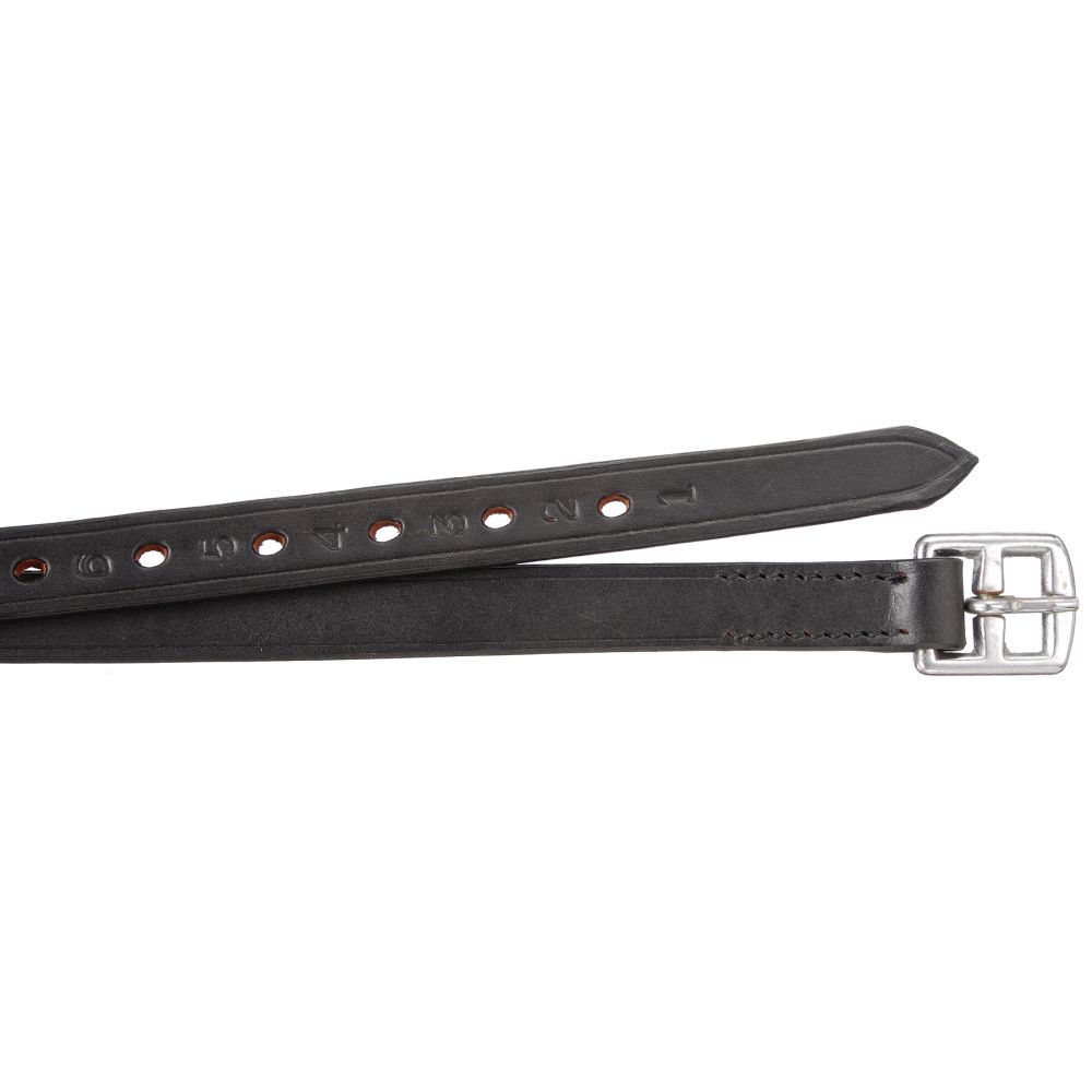 Equitare Mini Leathers