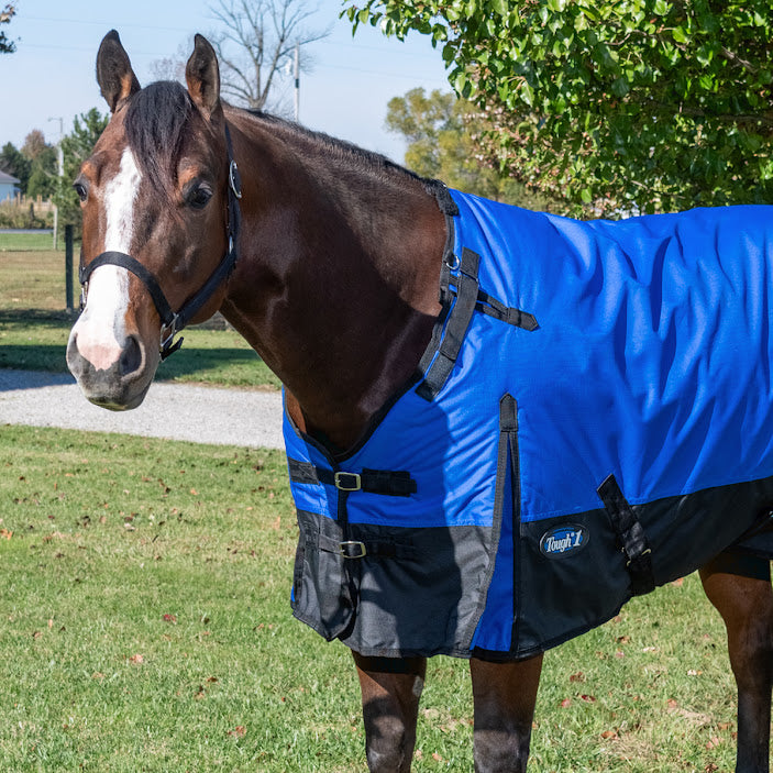 1200D Turnout Blanket w/Snuggit 100g