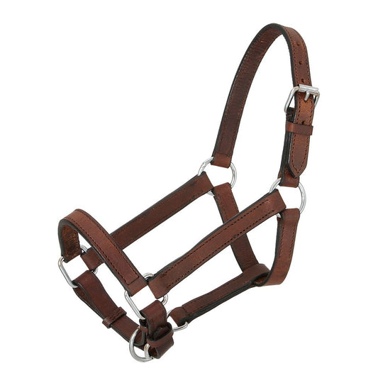 Royal King Mini Leather Halther