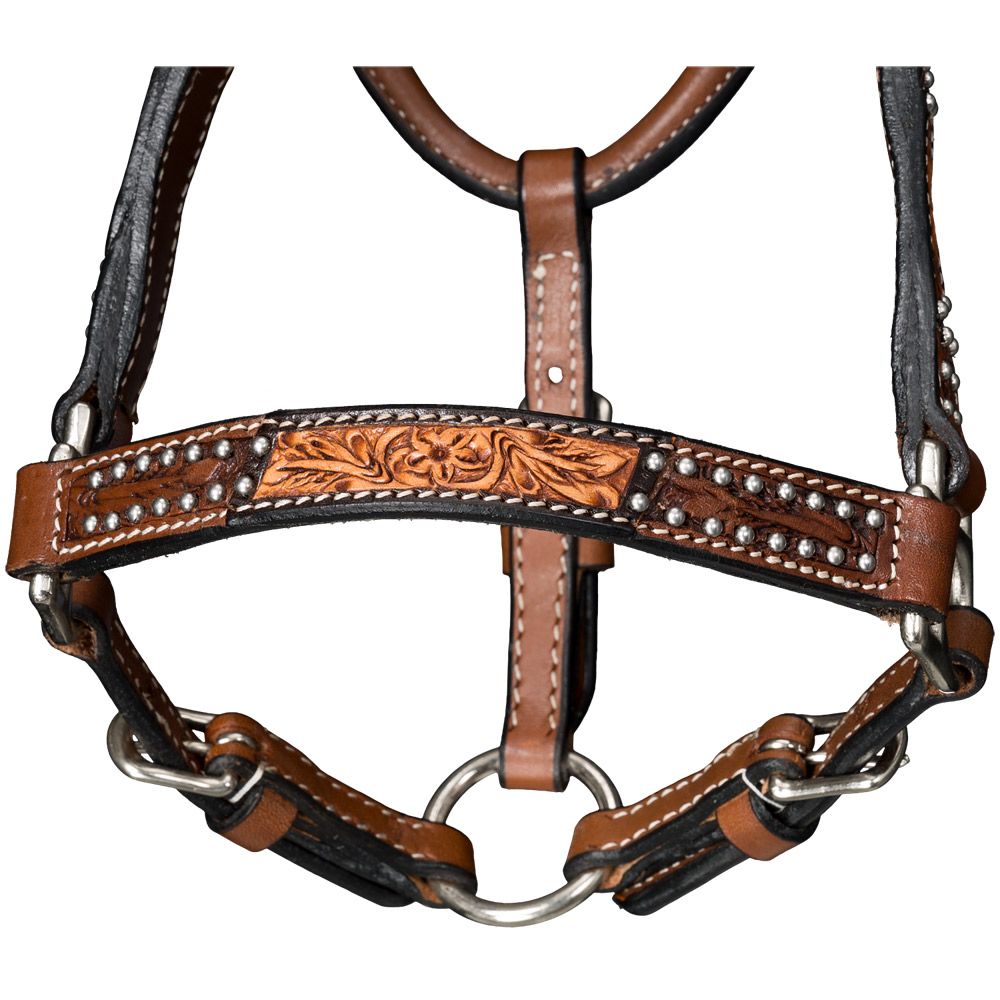 Miniature Horse and Pony Western Leather Halter with Lead – Royal King Cow Puncher