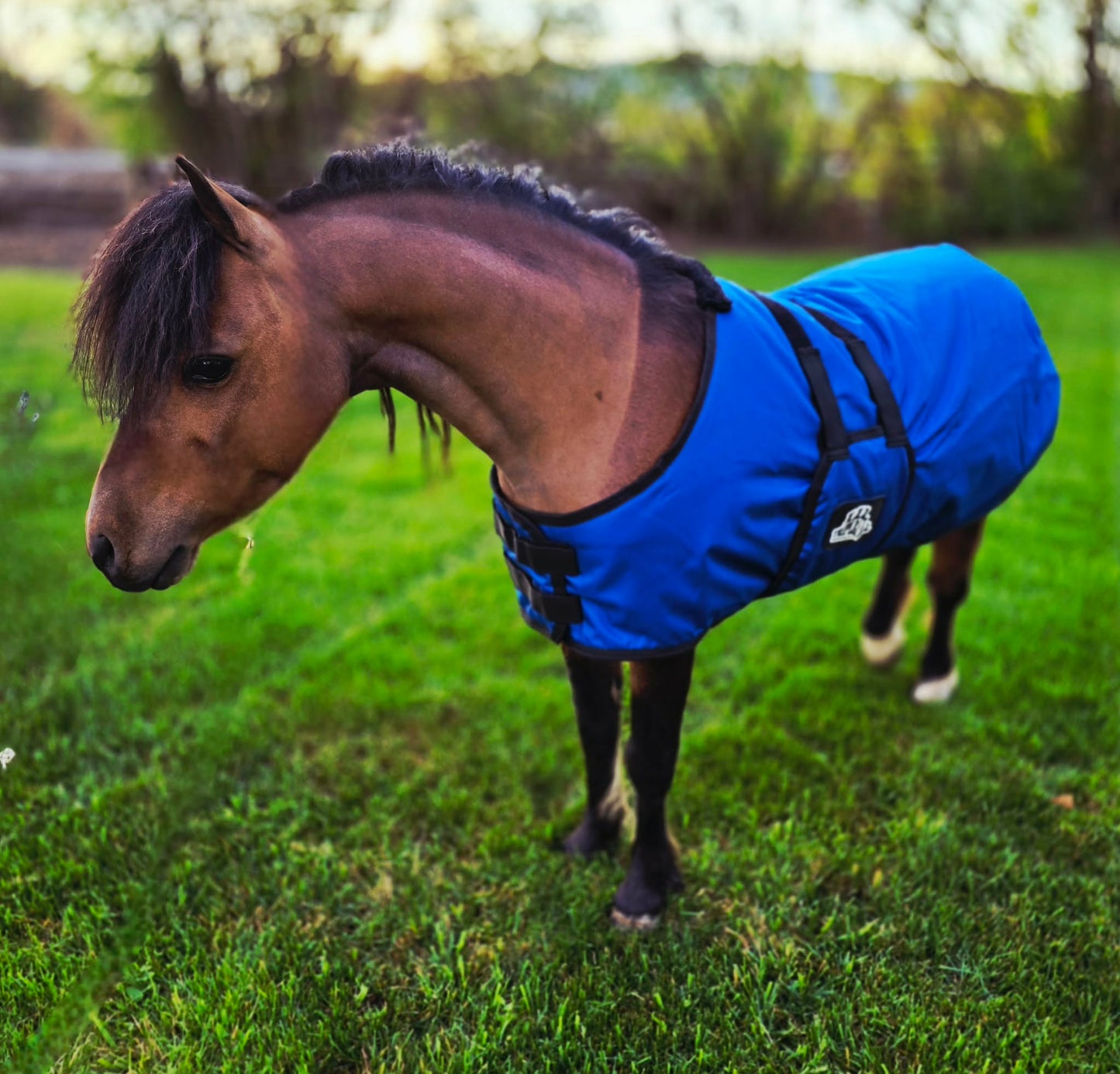 Waterproof Winter Blanket by Mountain Tack