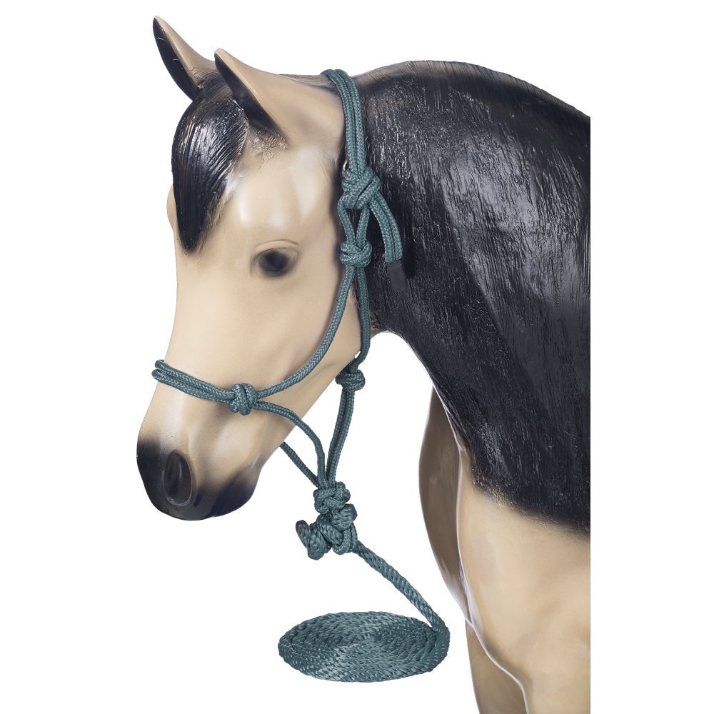 Mini Poly Rope Halter With Lead