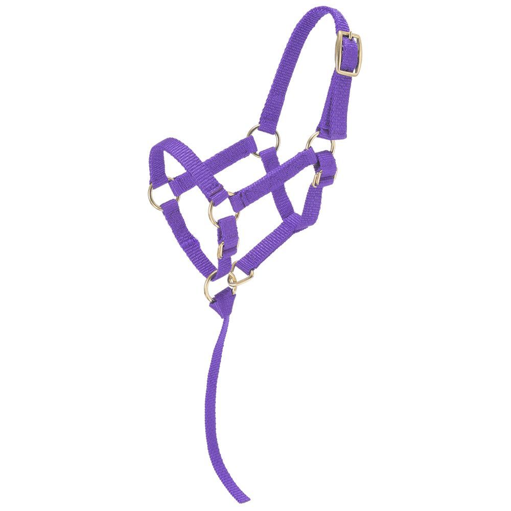 Economy Mini Nylon Halter