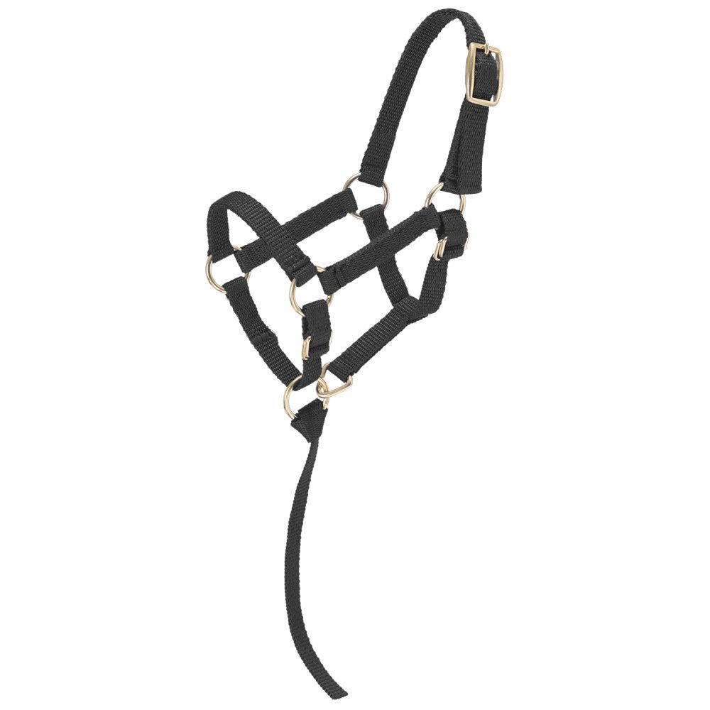 Economy Mini Nylon Halter