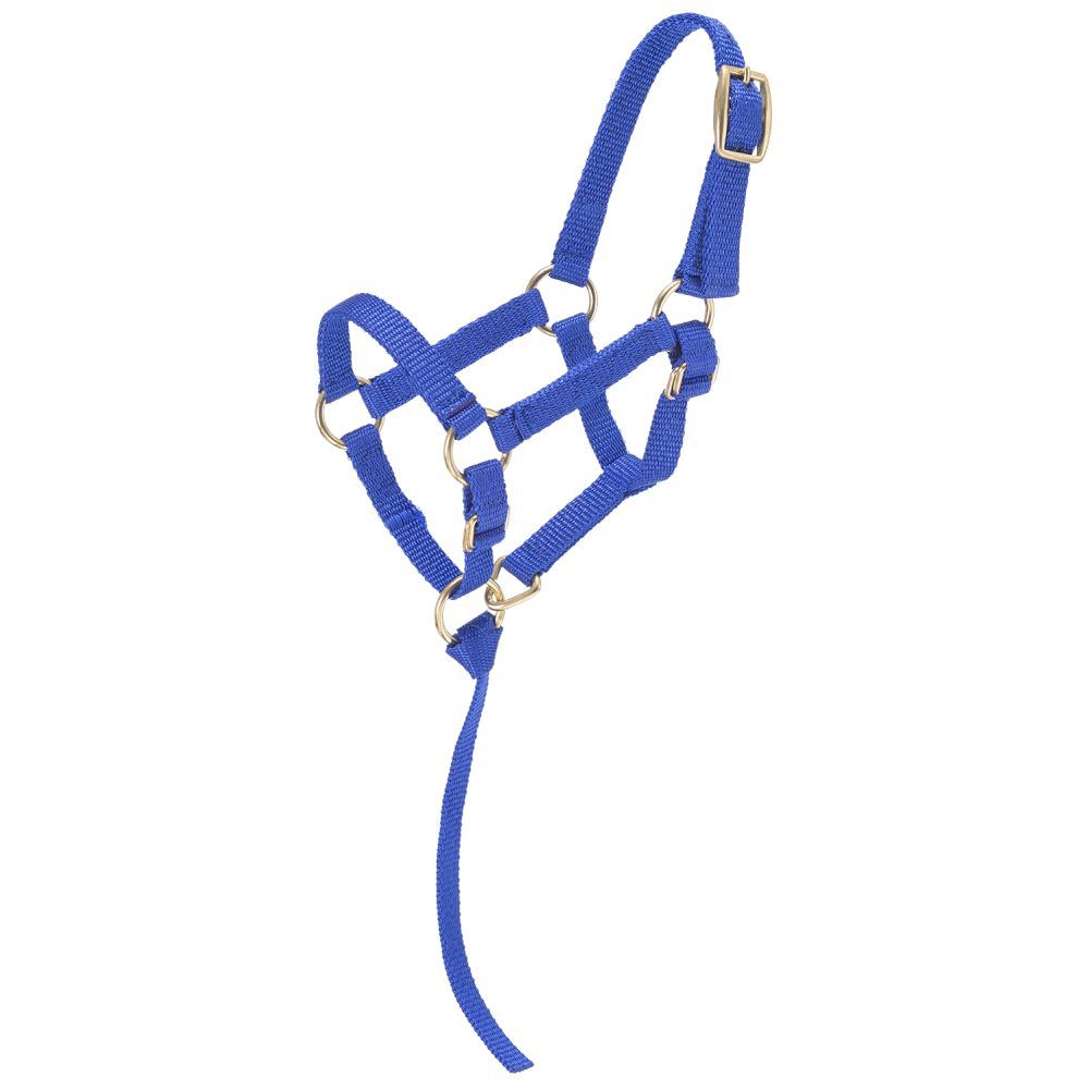 Economy Mini Nylon Halter