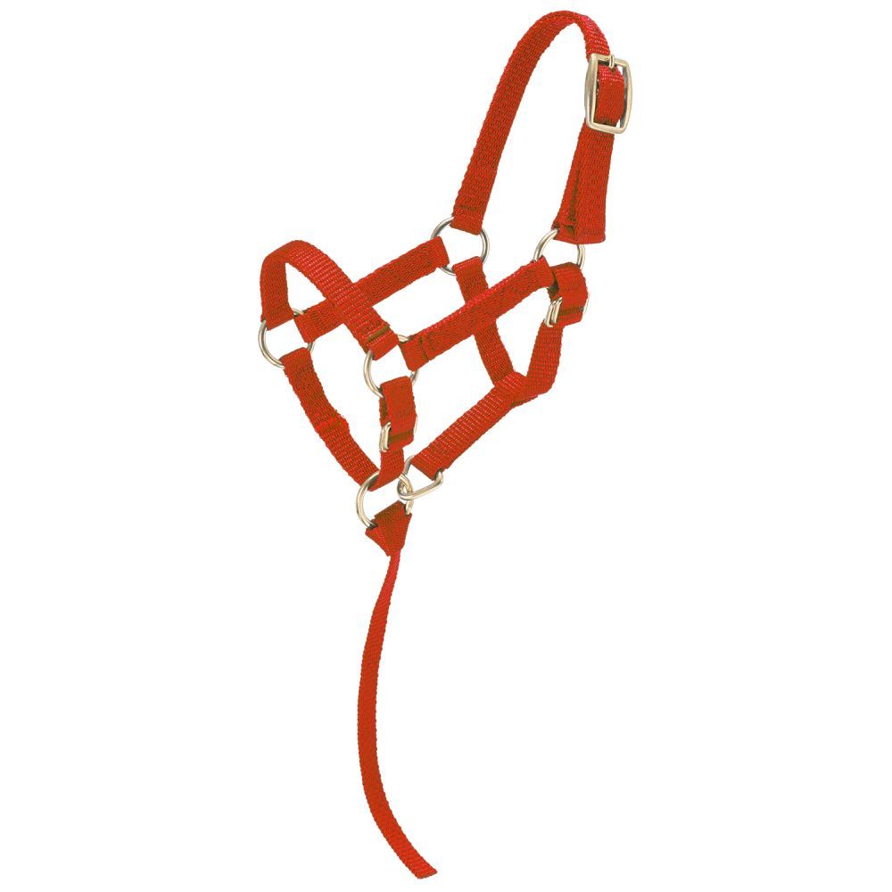 Economy Mini Nylon Halter
