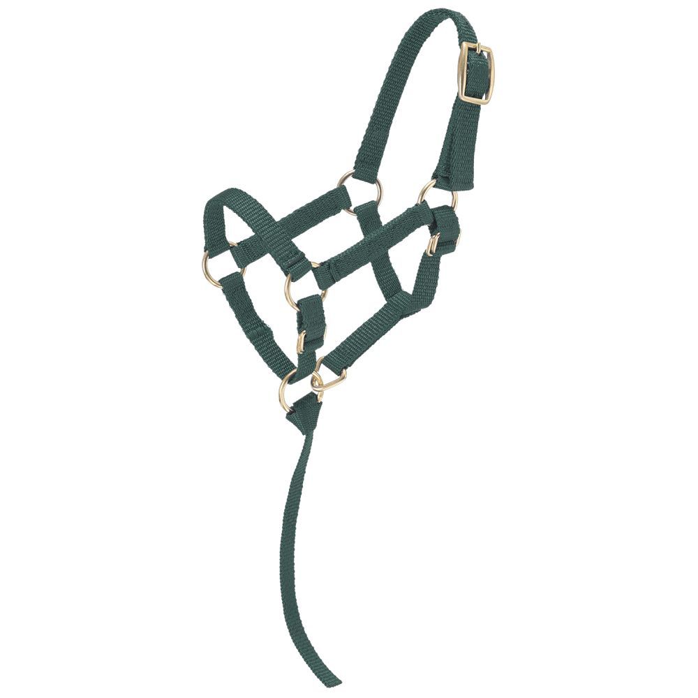 Economy Mini Nylon Halter
