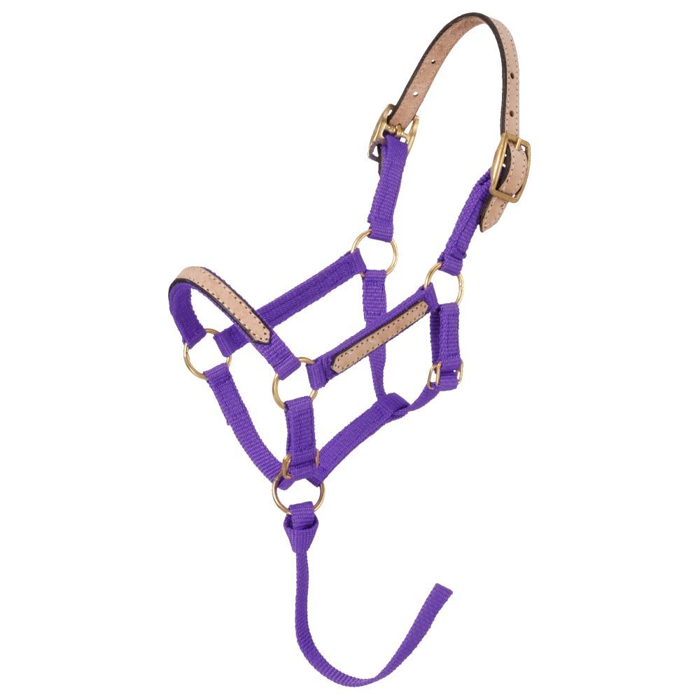 Tough1 Mini Nylon Breakaway Halter