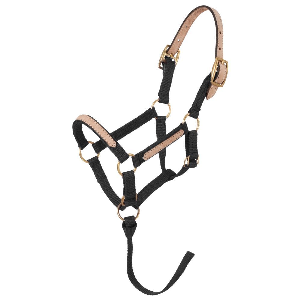 Tough1 Mini Nylon Breakaway Halter