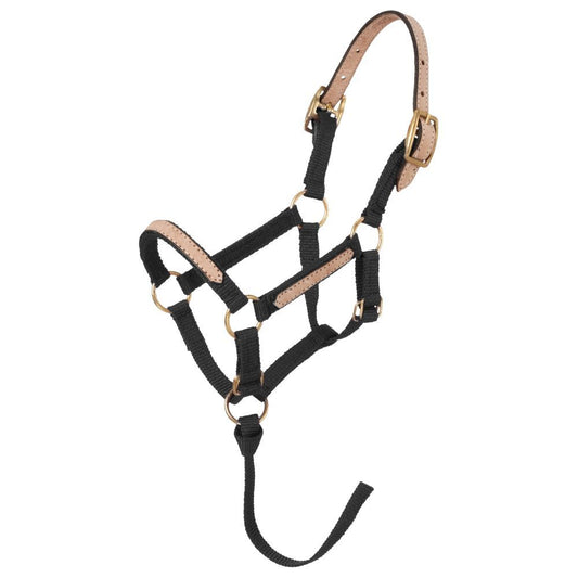 Tough1 Mini Nylon Breakaway Halter