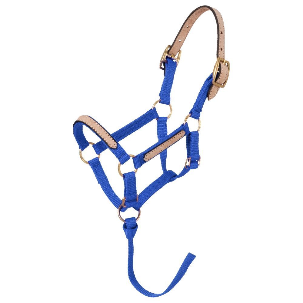 Tough1 Mini Nylon Breakaway Halter
