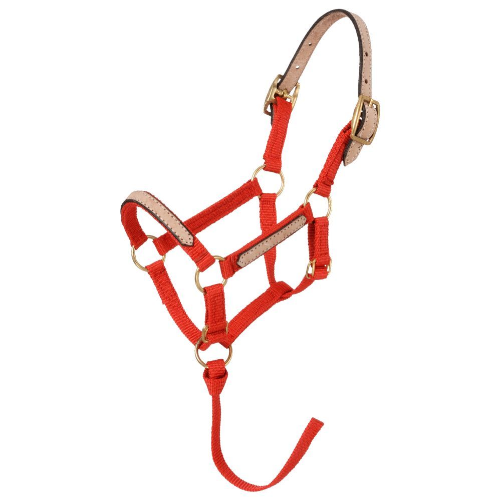 Tough1 Mini Nylon Breakaway Halter