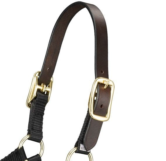 Premium Breakaway Miniature Horse Halter