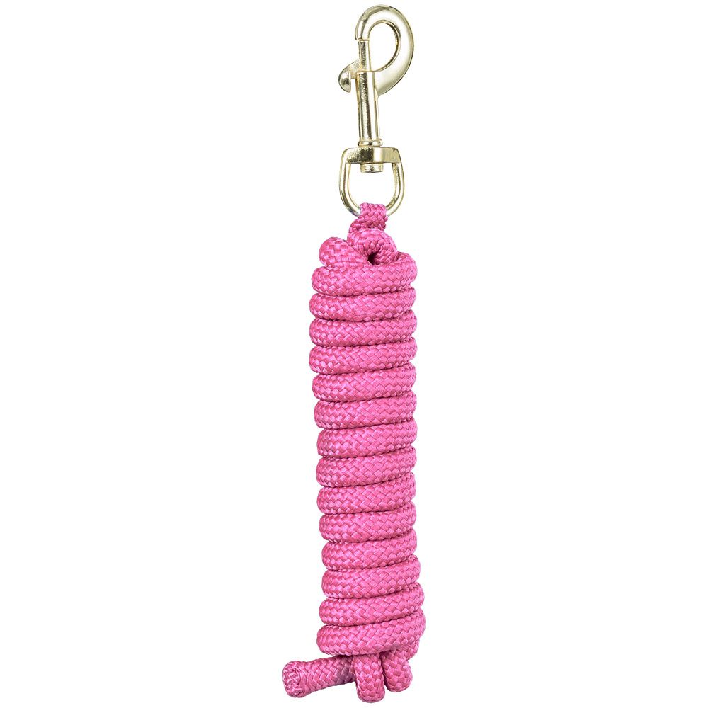 Miniature Horse 8 ft Nylon Lead