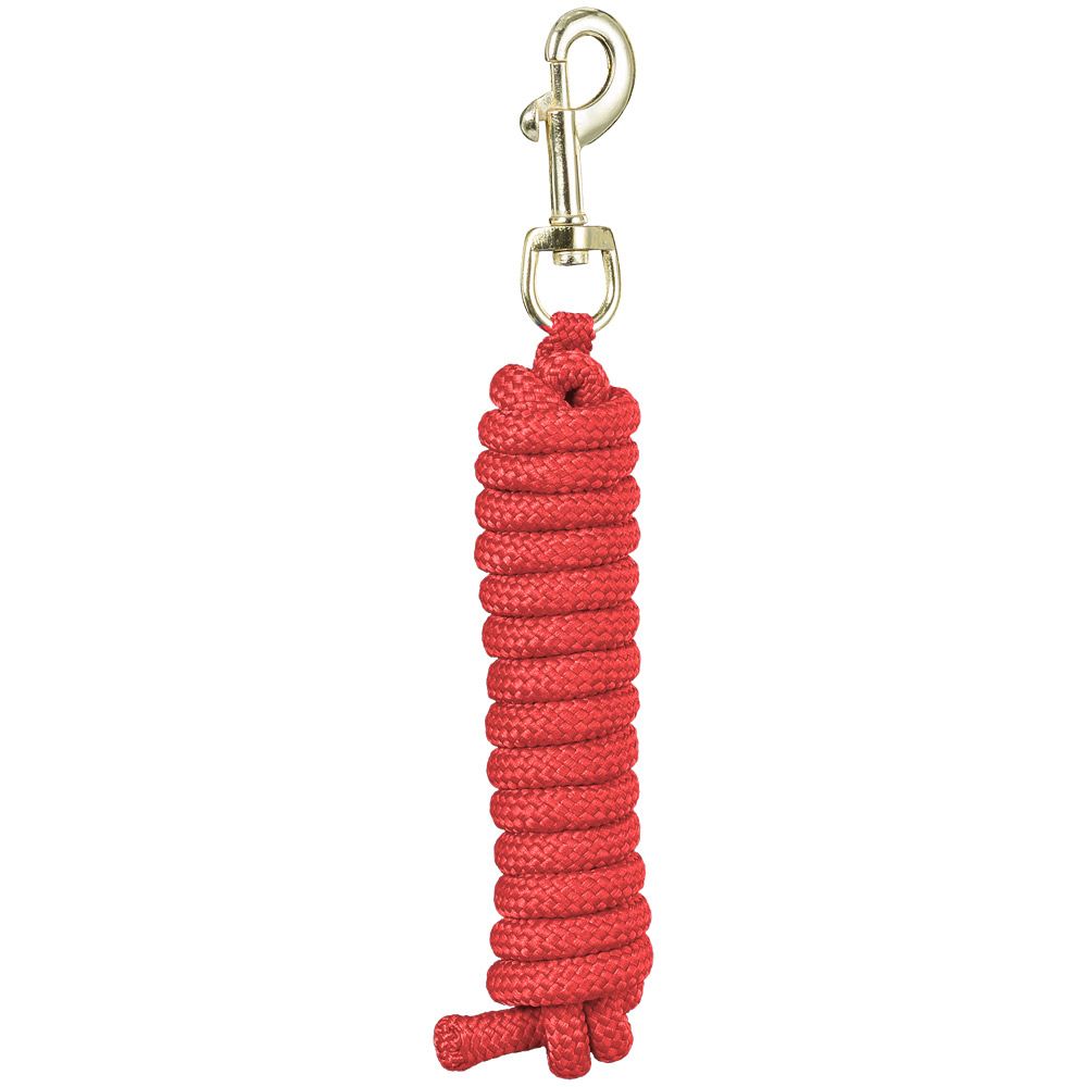 Miniature Horse 8 ft Nylon Lead