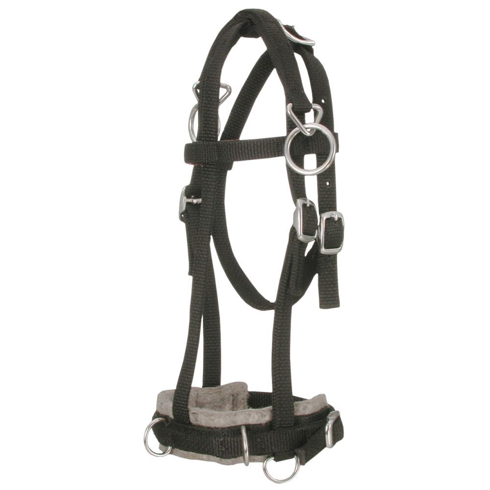 Tough1 Mini Nylon Training Cavesson