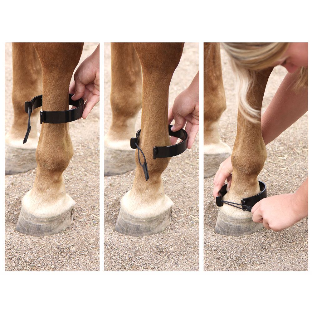 Mini Paw Be Gone Ankle Bands by Tough1