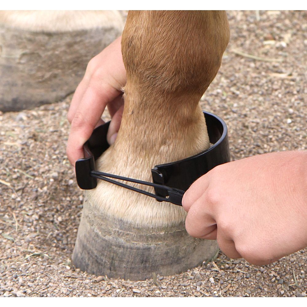 Mini Paw Be Gone Ankle Bands by Tough1