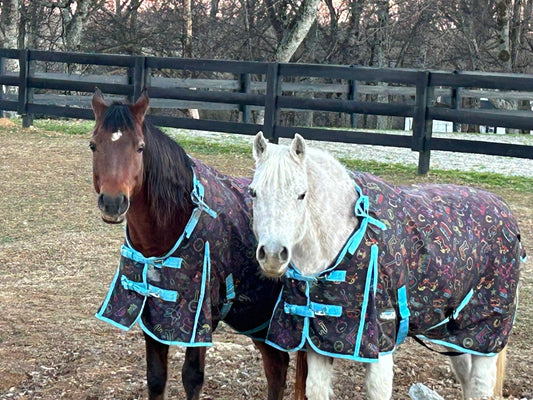 Tough1 1200D Waterproof Horse Turnout Blanket – Nashville Nights 250g
