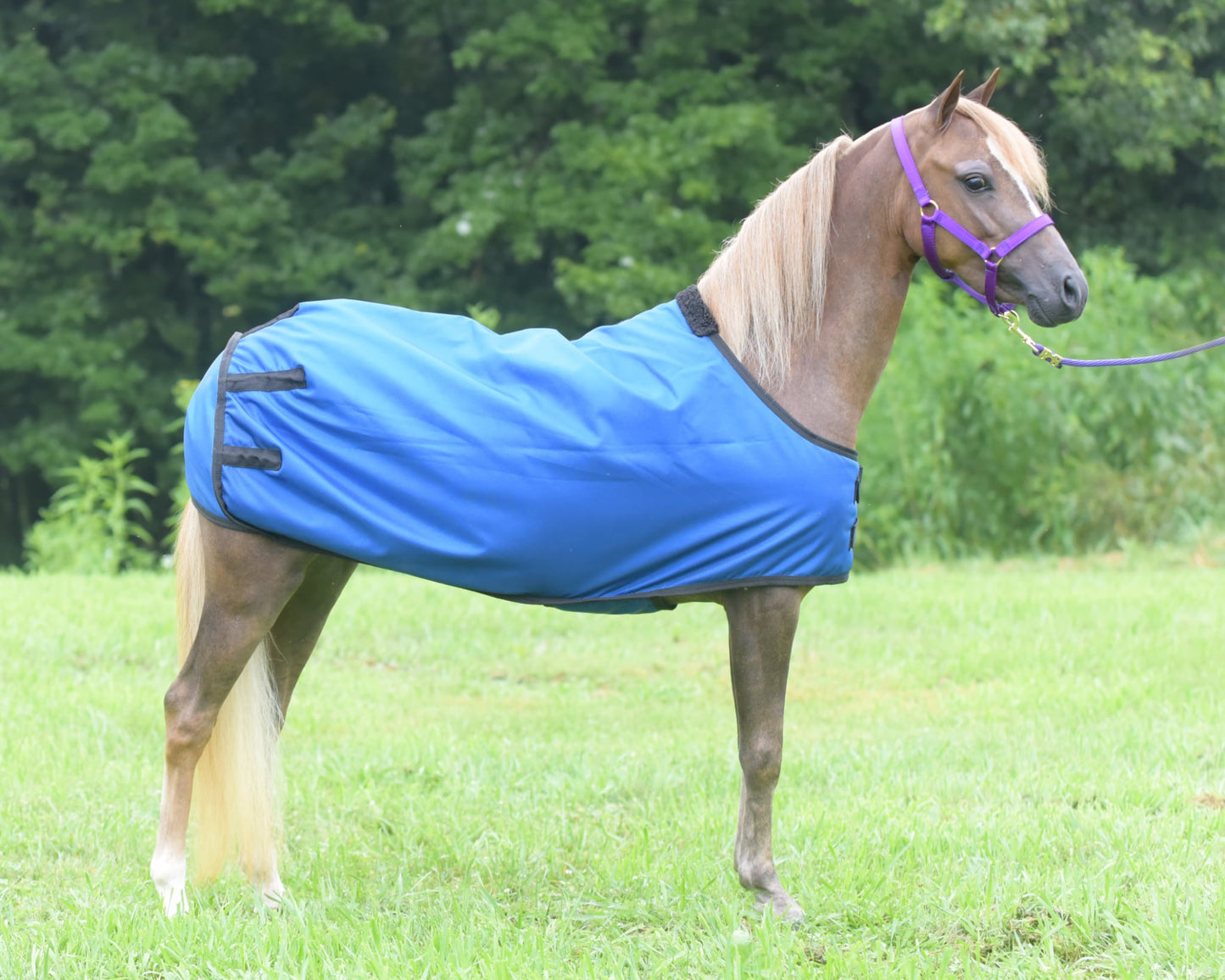 1680D Mini Belly Wrap Blanket by Triple L