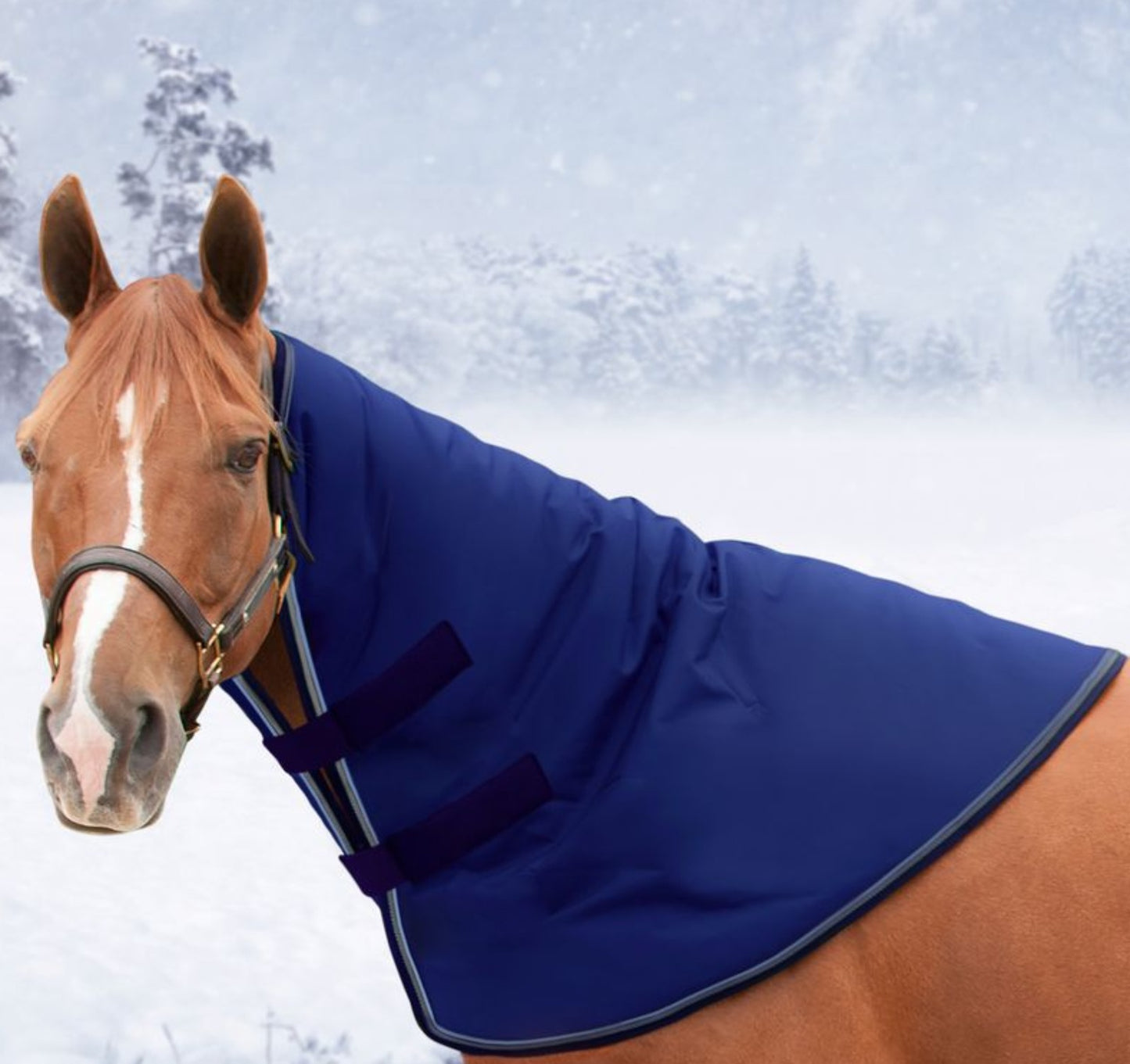 Kensington Signature Horse Neck Warmer brasshalter