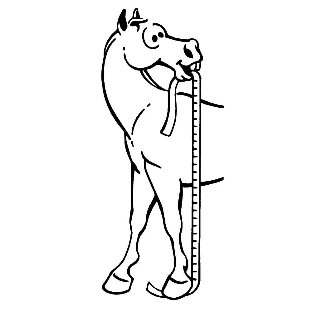 Horse & Pony Weight and Height Measuring Tape – Sure Measure by Tough1